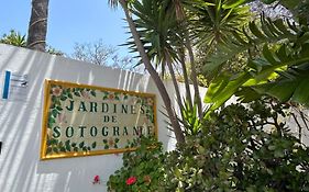 Sotogrande Apartamento Duplex